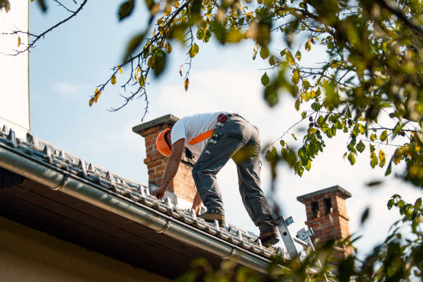 Best Storm Damage Roof Repair  in Lexington, OH