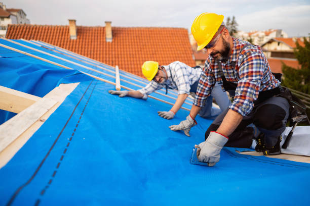 Best Flat Roof Repair Services  in Lexington, OH